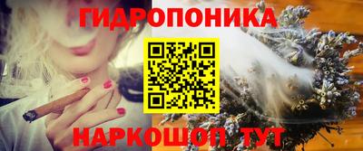 ALPHA PVP Нальчик